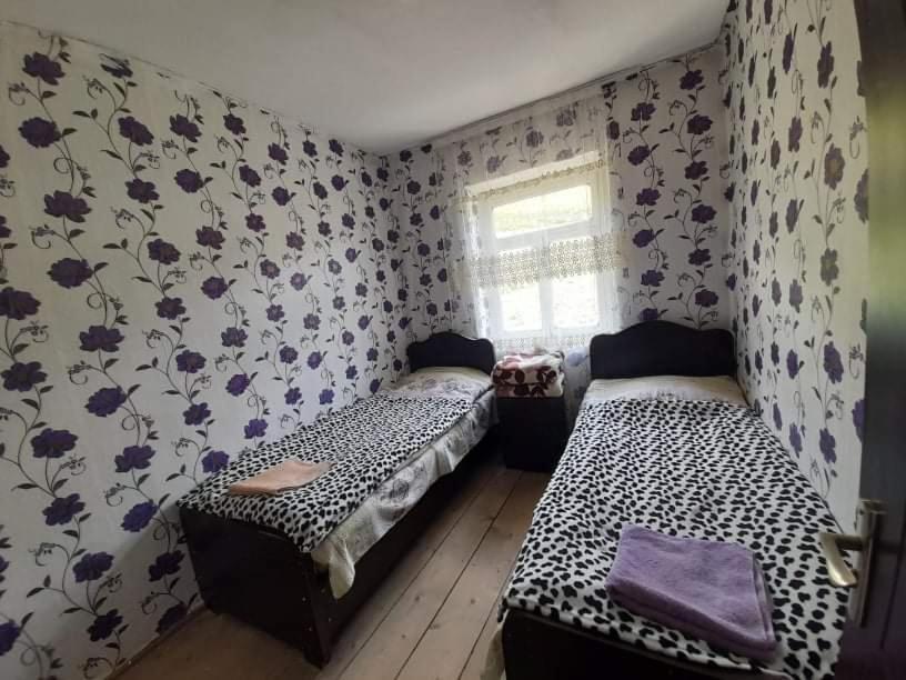 Guesthouse Lika Ushguli Exterior foto